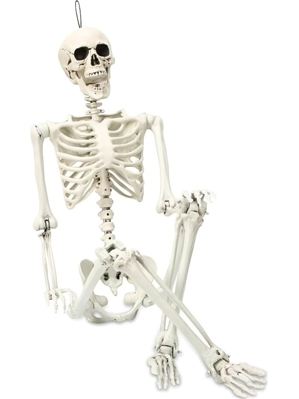 5.4 ft Posable Halloween Skeleton Decorations,Human Bones for Halloween Party